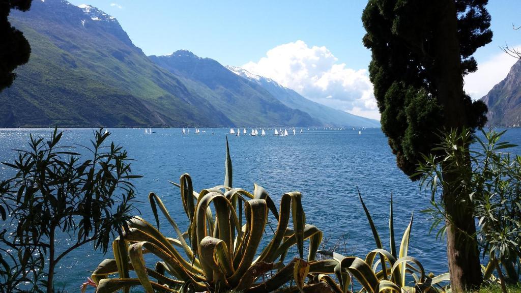 Hotel Angelini Torbole Sul Garda Εξωτερικό φωτογραφία
